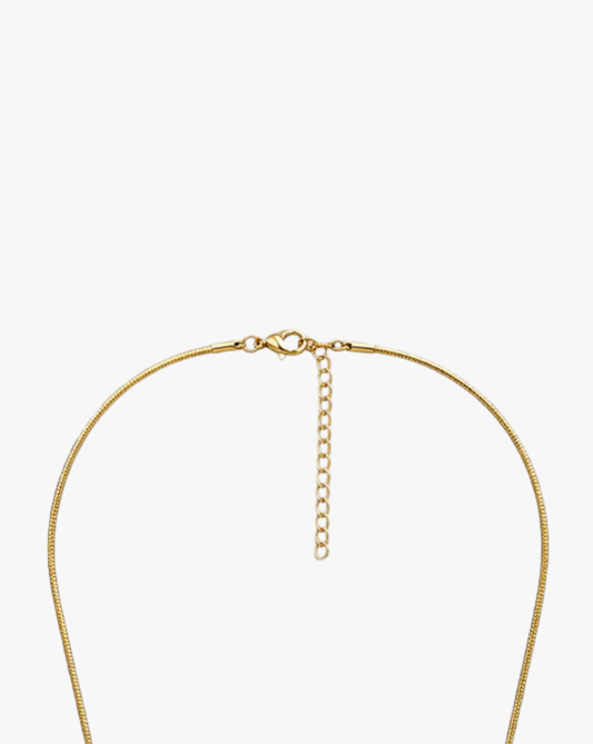 Collar Pez